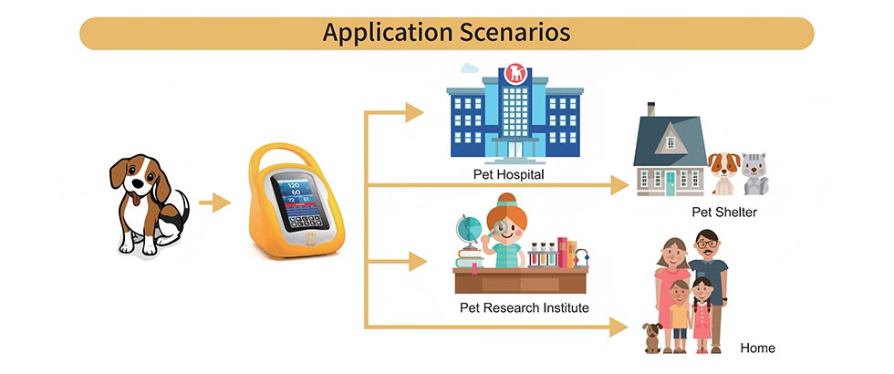 Veterinary Blood Pressure Monitor